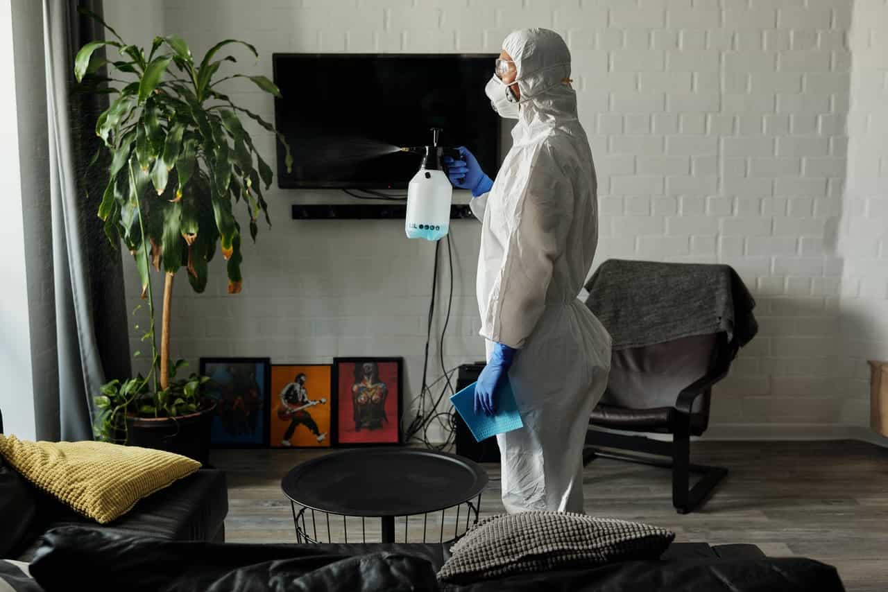 City Contract Cleaners